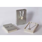 REG ASTUCCIO COLL. 13X19 +BUSTA