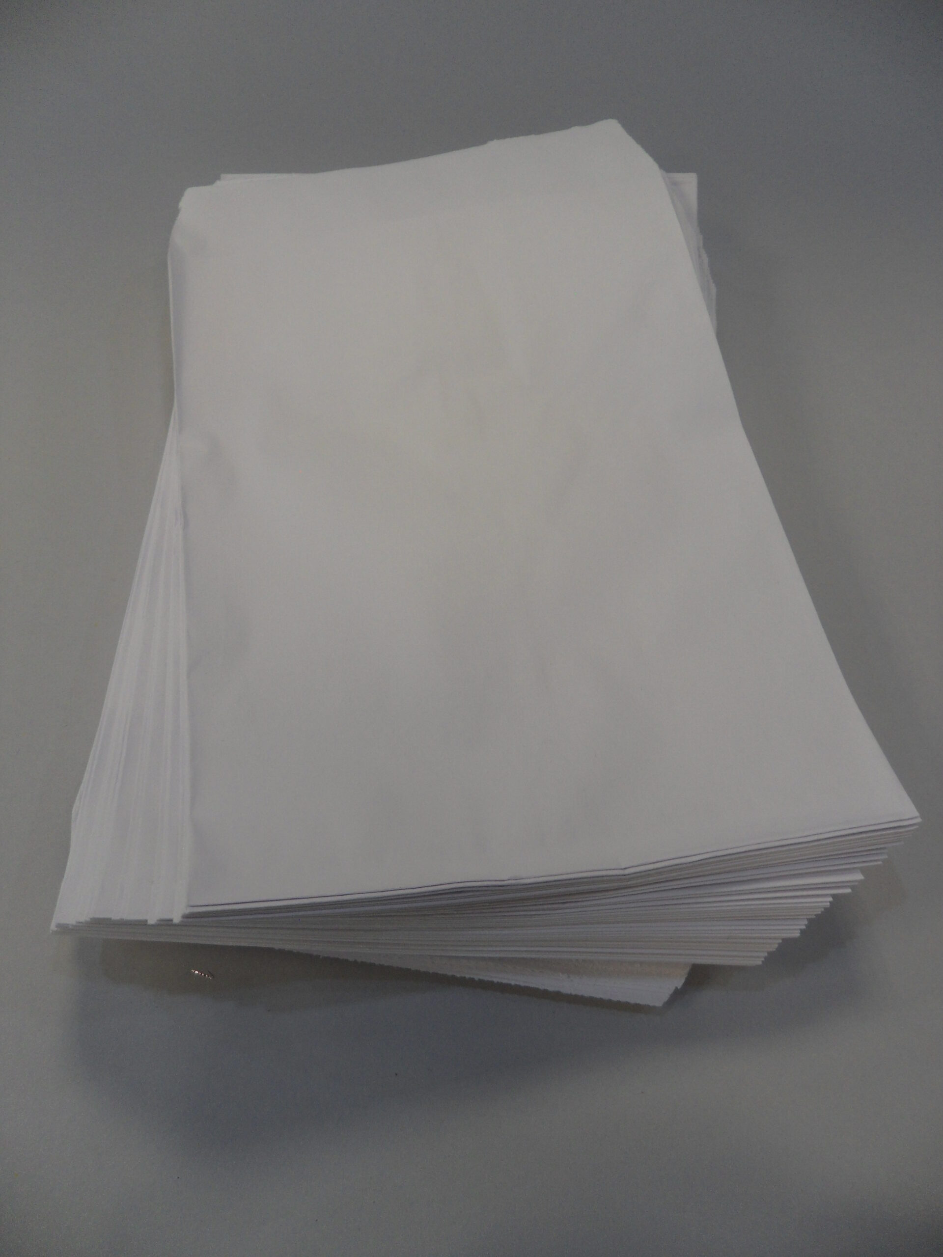 SACCHETTI IN CARTA MIS. 6