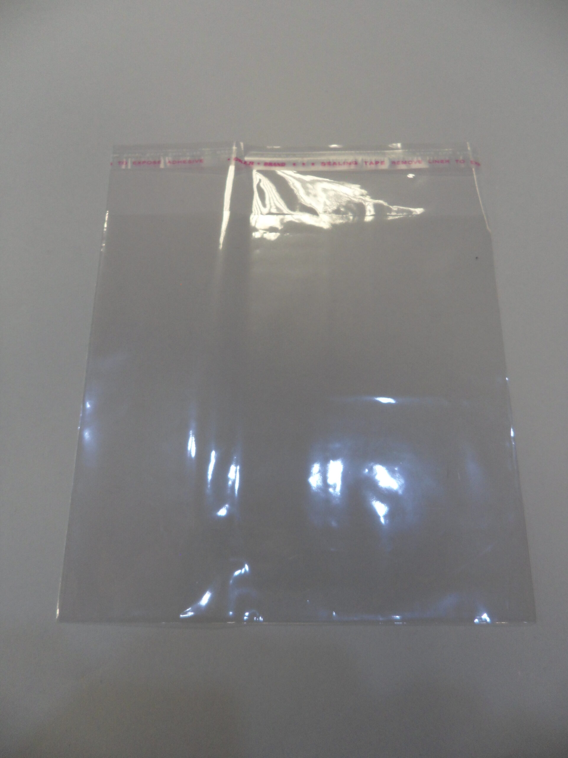 BUSTINA IN PLASTICA CON ADESIVO 8