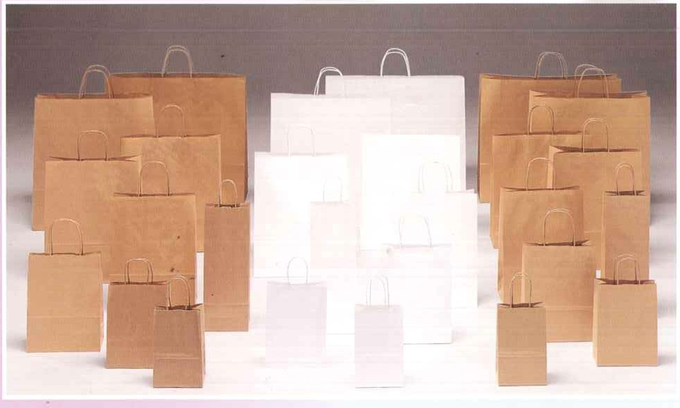 KRAFT PAPER BAGS HANDLE TWISTED 2