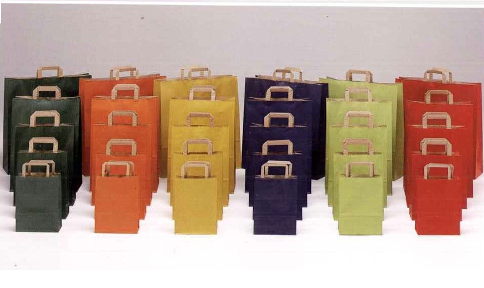 BUSTE IN CARTA MANIGLIA PIATTA 4