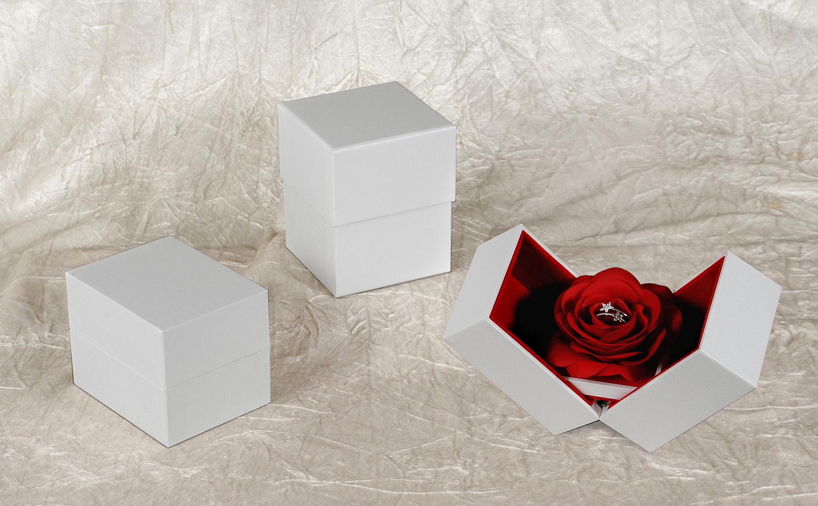 ASTUCCIO CON ROSA PER ANELLO-0